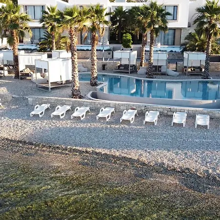 Villa The Palms Tkon