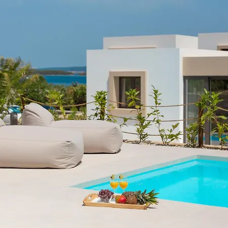 The Palms * Tkon