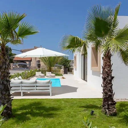 The Palms * Tkon