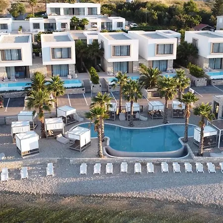 The Palms *