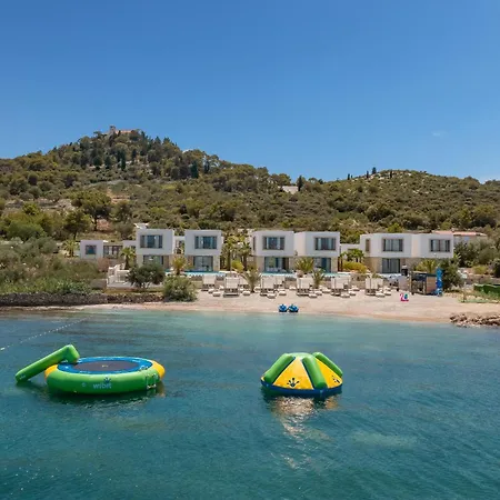 Villa The Palms Tkon